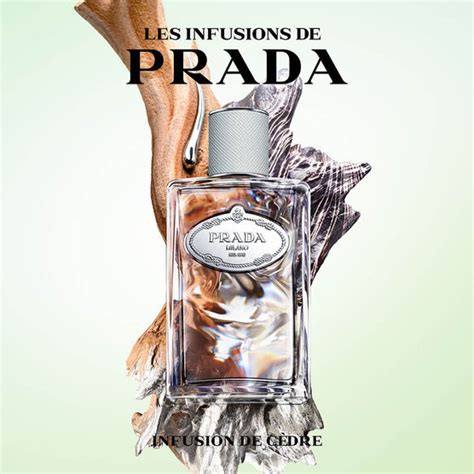 buy prada iris|prada iris cedre sephora.